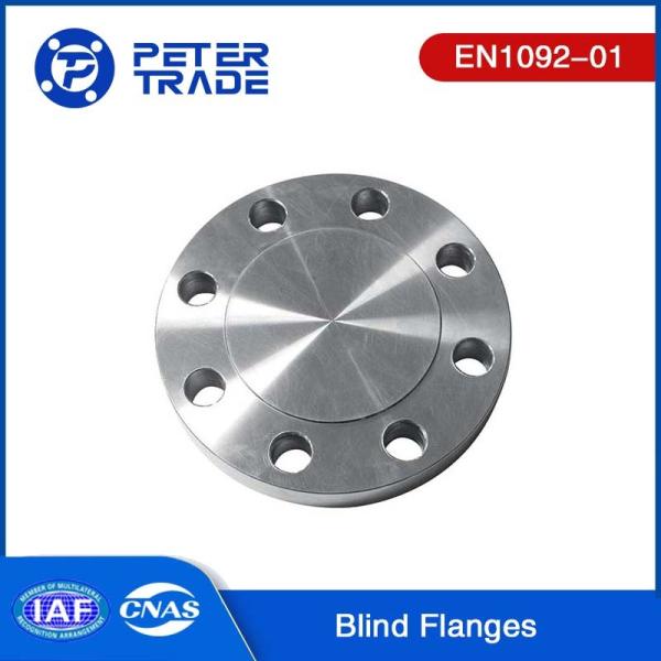 EN1092-01 Carbon Steel Blind Flange TYPE 05 Raised Face/Flat Face PN100 BLFF
