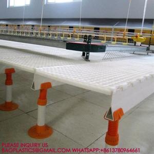 China 40mm Slatted Floor System In Poultry, PP Slatted Floor System, Plastic Floor For Goat Farm factory