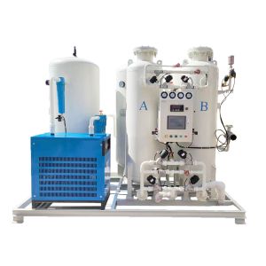 Customizable Nitrogen Capacity Gas Generator for Food Manufacturing
