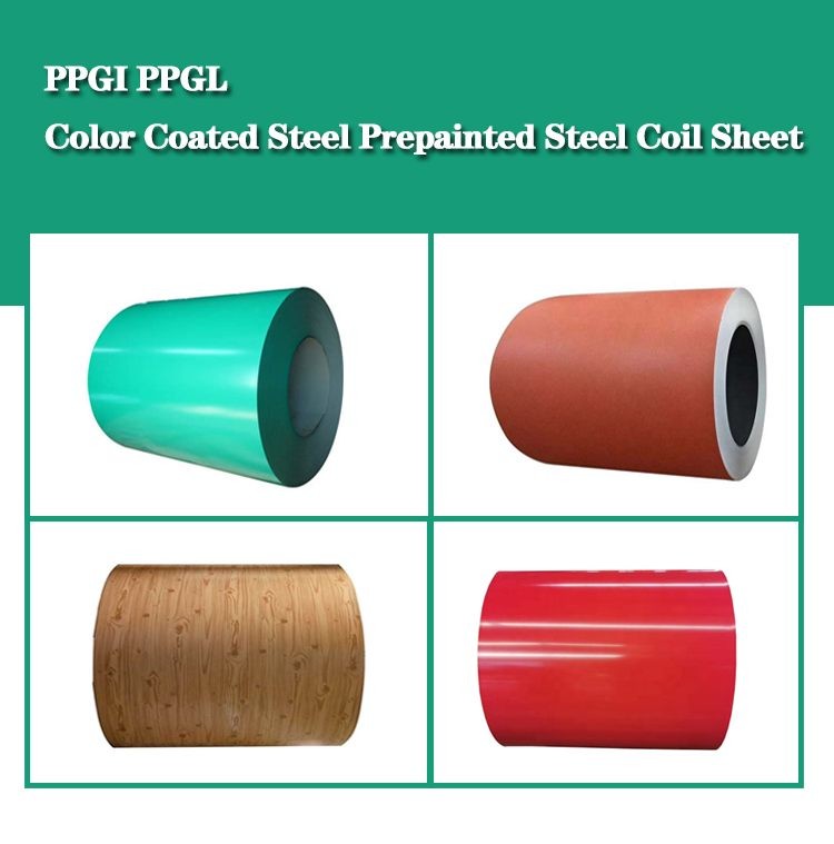 Double Coated Ral Color Painted Metal Roll Paint Galvanized Zinc Coating PPGI PPGL Steel Coil