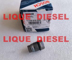 China BOSCH Pressure Relief Valve 1110010024 1 110 010 024 factory