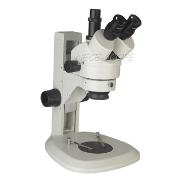 China WF20X Eyepiece Stereo Zoom Microscope Trinocular Vertical With  Digital Camera factory