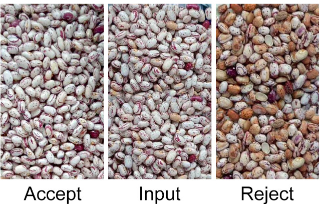 1 Chute Roasted Coffee Bean Color Sorter Auto Computing