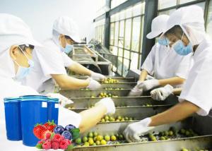 China 60T / Day Fruit Processing Line Fully Automatic Operation Good Performance factory