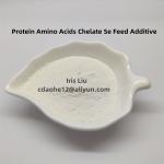 Chelated Iron18% Iron Proteinate Off White Powder Feed Additives Organic
