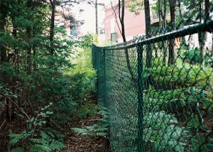 China High Security PVC Coated Galvanized Chain Link Fence factory