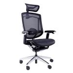 Gtchair Marrit Computer Desk Chair Adjustable High Back Ergonomic Office Chair