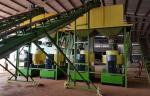 1T/H Biomass Pellet Making Machine Wood Pellet Production Line For Bamboo ,