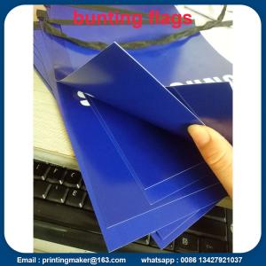 China Custom Double Sided Printed PVC Bunting Flags factory