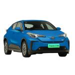 100% Electric Car 2023 2024 Sport Classic Four-Wheel 4X4 Passenger Long Mileage