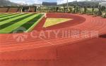 Colorful EPDM Rubber Granules Shock Absorption Rubber Crumbs For Running Track