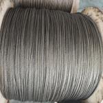 Reinforced Ferrule Stainless Steel Cable Wire Rope for Lifting Steel Grade