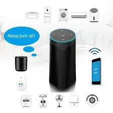 Amazon Alexa Smart AI Speaker Digital Class D Amplifier Speaker Passive Type