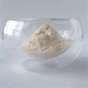China 10:1 wholesale garcinia cambogia in bulk factory