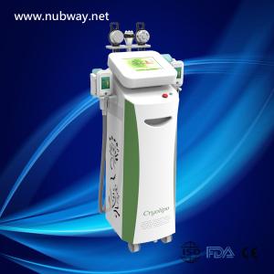China Cryoilpolysis Slimming Equipment with 2 Big Size Cryoilpolysis Working Together factory