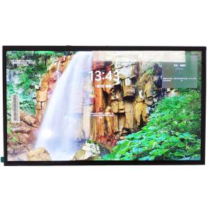 China 15.6 Inch 1920*1080 High Brightness LCD Display 1000nits LVDS TFT BOE LCD Screen factory