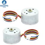 12V 24V DC Brushless Motor 8000RPM CW CCW BLDC Motor Diameter 24mm*15mm