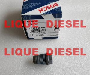 China BOSCH Pressure Relief Valve 1110010024 , 1 110 010 024 factory