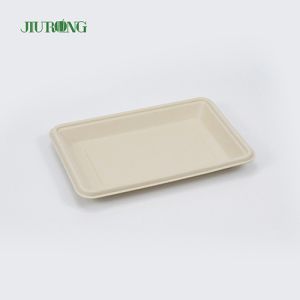 China Square Disposable biodegradable sugarcane plates 160mm for Hamburger Bread on sale