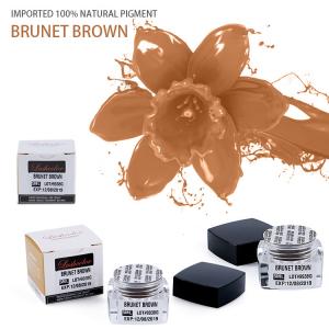 China Eyebrow Tattoo Semi Permanent Makeup Pigments Micropigmentation Pigments factory