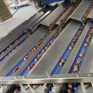 AI Powered Date Sorting Machine With Intelligent Data Statistics System High