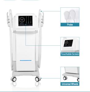 China EMS High Frequency Fat Reduction Machine , 110V 220V Hi EMT Machine factory