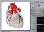 Body Composition 3d Nls Health Analyzer For Body Detection / Repair Treatment