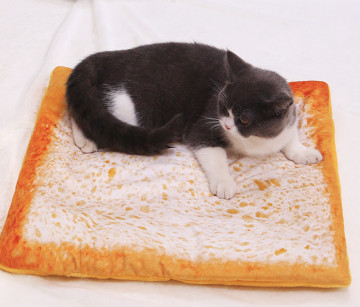 warming blanket for cats