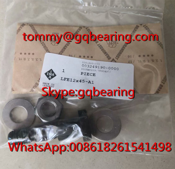 Germany Origin Gcr15 Steel Material INA LFE12x45-A1 Journal Eccentric Bolt For Track Roller Bearing LFR