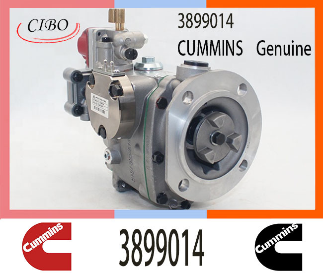 3899014 Diesel Pump for Cum-mins KTA19-G2 K19-G2 Engine PT Fuel Injector 3899014 3655996 3419453 3060949 3419468 3068771