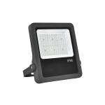 Aluminum Die-Casting 100W Led Flood Lights Indoor Garden Floodlight For Theme