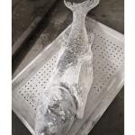 800 Per Hour Blast Chiller Mesh Belt Tunnel Freezer Minus 150C For Meatball