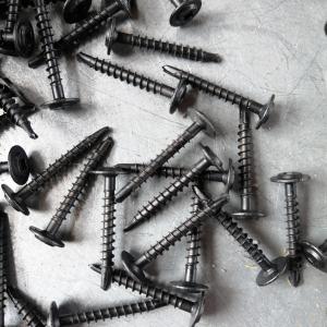 China Mushroom Head Square Phillips Drive Self Drilling Screws For Solar Photovoltaic Stainless Steel A2 Zinc Coating factory