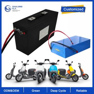 China LiFePO4 Lithium Battery OEM ODM 36V 48V 60V 25AH Li-Ion Battery 60AH 100AH 120AH For E-Wheelchair/E-Motorcycle/E-Bike factory