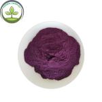 blueberry extract anthocyanins powder buy best bilberry anthocyanins health