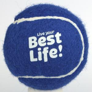 China dog tennis ball factory