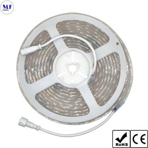 China LED 5050 Strip Light RGB RGBW IP20 IP65 IP68 7.2W-28.8W With CCT Dimming For Indoor Outdoor Retail Store Display factory