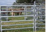 No Sharp Edge Safety Horse Corral Panels , Horse Gate Panels For Outdoor