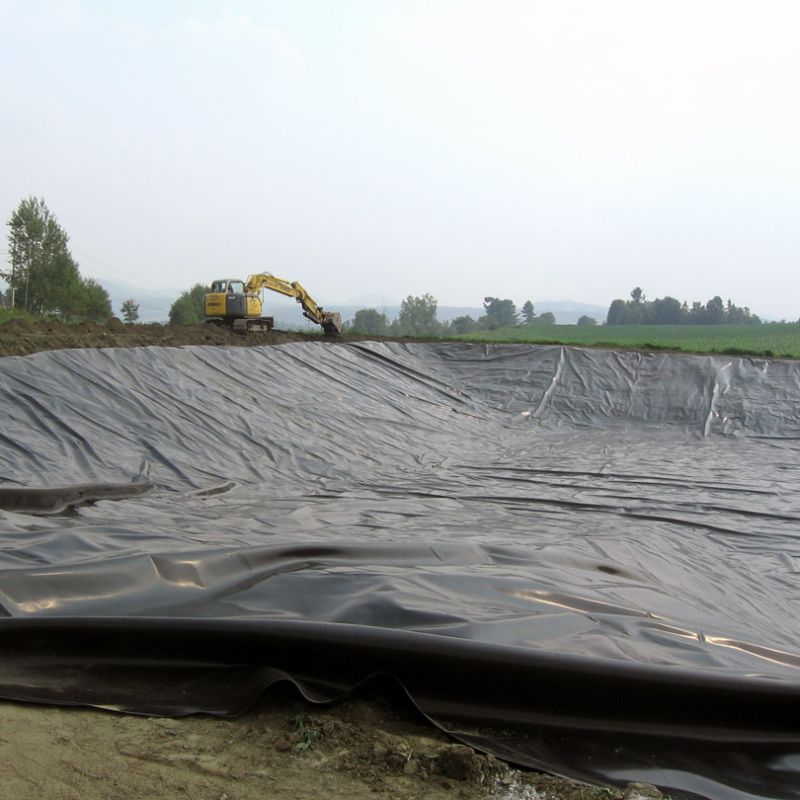 Hard Black Liner Hdpe Waterproof Pond Liner Geomembrane Polyethylene Factory