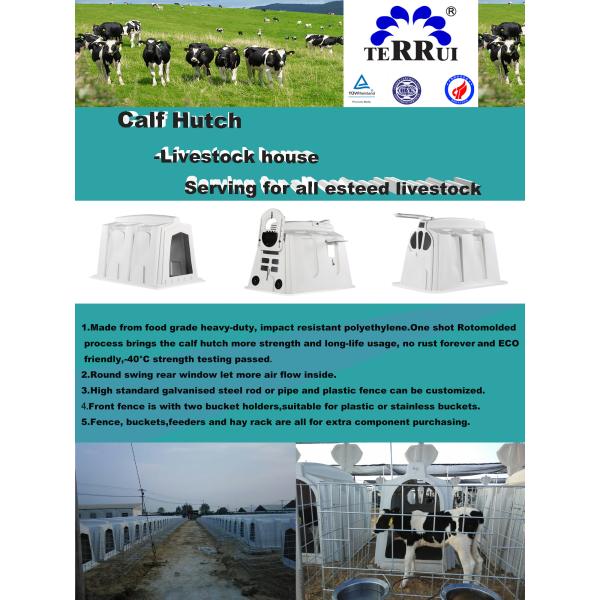 LLDPE Plastic Cattle House Hot Dip Galvanized Steel Livestock Equipment