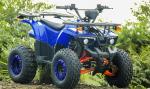 Electric Start Youth Racing ATV Automatic Clutch 125cc For Adult Only