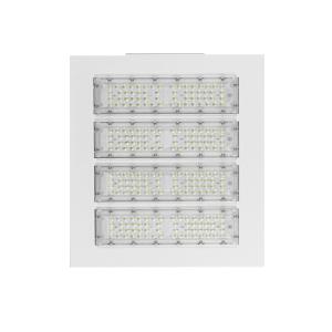 China Petrol Station Canopy Lights Ip65 200w Gas Station Canopy Lighting Fixtures factory