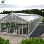 Tropical Multispan Agriculture Greenhouses Industrial Victorian Greenhouse