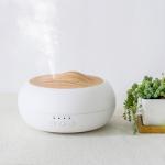 HOMEFISH USB Powered Ultrasonic Aroma Humidifier Tabletop 250ml