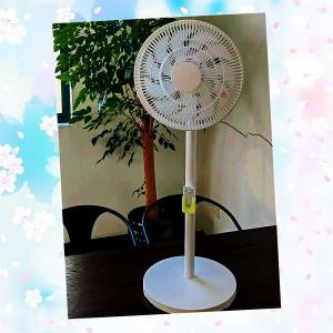 China NO App-Controlled Plastic Pedestal Fan The Game-Changer for Air Circulation Needs factory