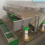 High Performance Farm Rabbit Cage Anti Corrosion Galvanized Surface Easy