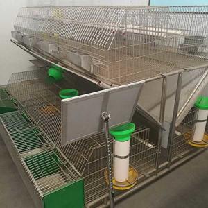 China High Performance Farm Rabbit Cage Anti Corrosion Galvanized Surface Easy Drinking factory