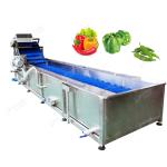 380V Vegetable Washing Line Green Pepper Chili Cleaning Machine