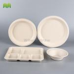 Envases Bagazo Pulp paper disposable bowls and plates