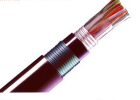 HYA53 CAT LAN Cable